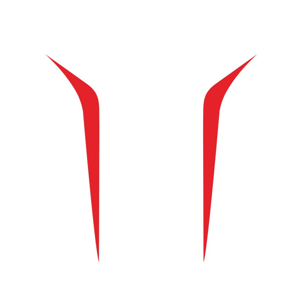Red Stripe Graphics Vinyl Stickers DIY for Car Body Hood Side Fender Decal