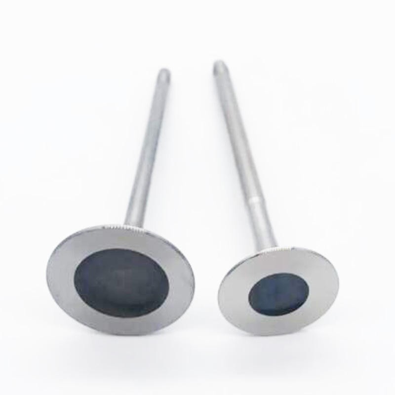 Valve for BMW 325i 525i X3 Z4
